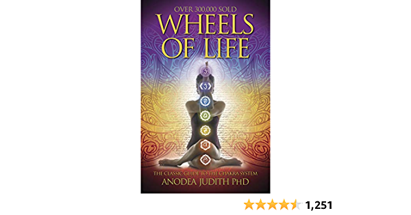 Wheels of Life: A User's Guide to the Chakra System (Llewellyn's New Age)